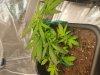 20180208_213332.jpg