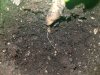 20180208_213021.jpg