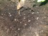 20180208_213001.jpg