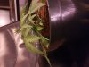 20180210_175734.jpg