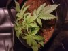 20180210_175640.jpg