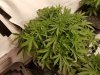 20180215_142707 1.jpg