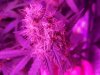 20180219_000631.jpg