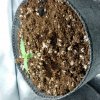 20180210_085143.jpg