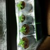 20180220_190543.jpg