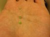 IMG_0918.JPG IMG_0918.JPG
