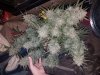 20180115_100140.jpg