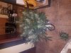 20171219_121241.jpg