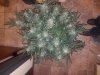 20171219_121249.jpg