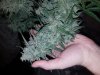 20180115_095859.jpg