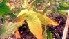 2012-12-12_12-51-20_316.jpg