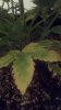 2012-12-12_17-52-50_469-1263770079.jpg