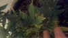 2012-12-12_17-54-58_936-1458004809.jpg