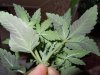 DSCN1028.jpg
