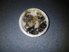20121214_0814572093286646.jpg
