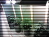 IMG_20121125_183421.jpg