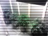 IMG_20121127_210631.jpg