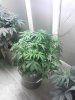 IMG_20121201_093823.jpg