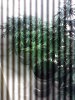 IMG_20121205_090417.jpg