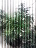 IMG_20121205_090435.jpg