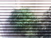IMG_20121209_232129.jpg