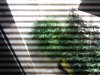 IMG_20121209_232244.jpg