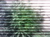 IMG_20121211_221013.jpg