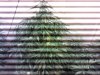 IMG_20121213_120425.jpg
