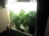 IMG_20121213_223818.jpg
