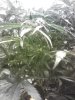 IMG_20121213_223905.jpg