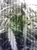 IMG_20121213_223926.jpg