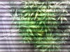 IMG_20121213_223946.jpg