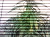 IMG_20121213_224009.jpg