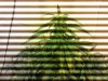 IMG_20121213_224013.jpg