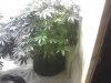 IMG_20121213_224035.jpg