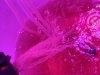 IMG_9410.JPG
