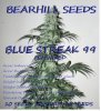 BLUESTREAK99.jpg