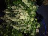 20180211_101650.jpg