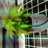 20180227_212142.jpg