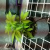 20180227_212147.jpg