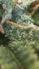 9340CC08-E284-408A-8004-C7A3D0B89986.png