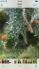 24AB3E17-FFE2-42F9-9C0C-77629576F3A2.png