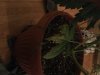 D2802717-4777-425C-9796-30EB20842843.jpeg