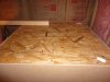DSC01467.jpg