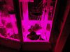 DSC01471.jpg