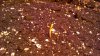 2012-12-19_17-02-07_181.jpg