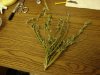 DSC00311.jpg