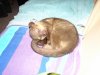DSC00020.jpg
