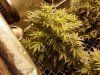 20180318_195628.jpg