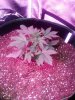 IMG_20180322_223238.jpg